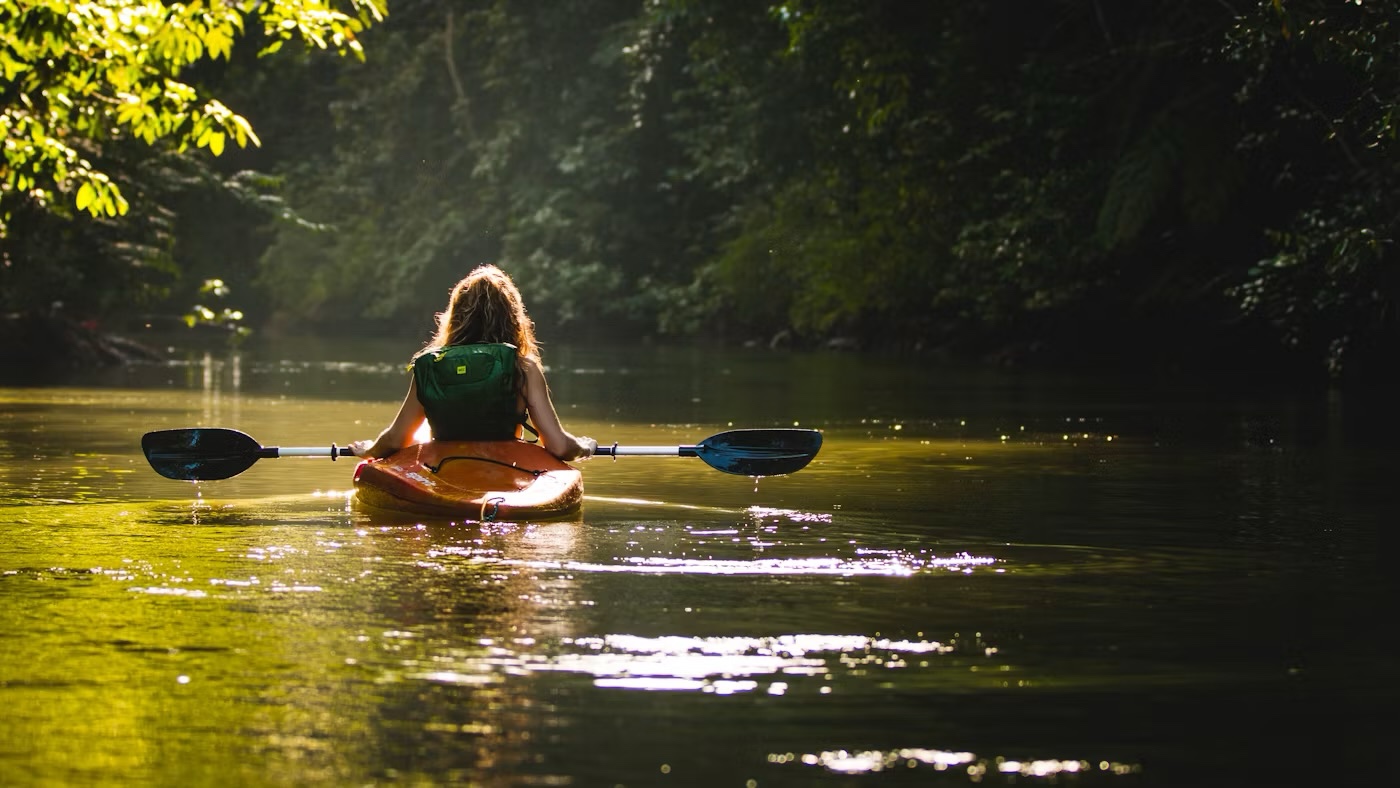 Kayaks on a calm river surrounded by trees