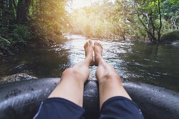 Point of view river tubing through a lush forest stream
