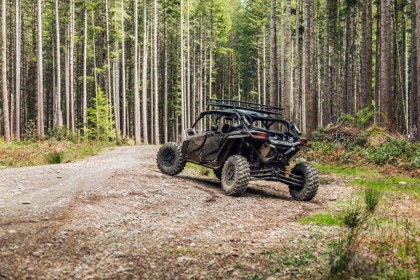 UTV side-by-side on a forest trail